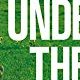 Under the tree - le test DVD