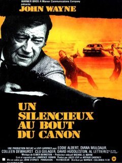 Un silencieux au bout du canon - John Sturges - critique 