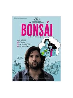Bonsái - coup d'oeil