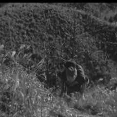 Les enfants de la ruche (Hachi no su no kodomotachi) - Shimizu Hiroshi 1948