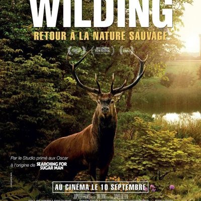Wilding : Retour à la nature sauvage - David Allen - critique