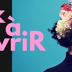 spip-bandeau spip-bandeau