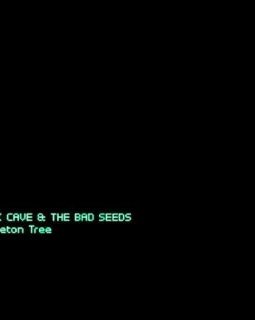 Nick Cave and The Bad Seeds – Skeleton Tree en mode requiem