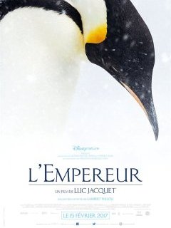 L'Empereur - Luc Jacquet - critique