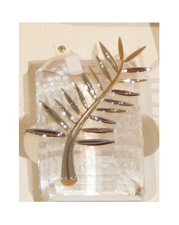 Festival de Cannes 2016 : un palmarès sans envergure