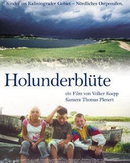 Fleurs de sureau - la critique