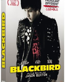 Blackbird - le test DVD