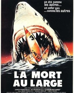 La mort au large - la critique du film