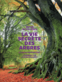 La Vie secrète des arbres de Peter Wohlleben