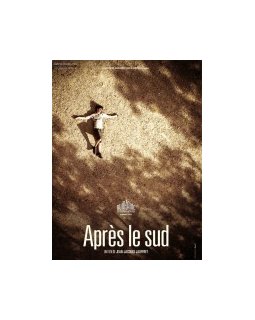 Après le Sud - La critique