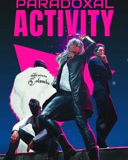 Paradoxal Activity - Jean-Christophe Bavcevic - Critique
