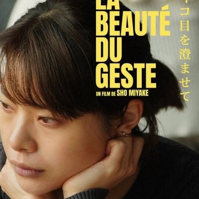 La beauté du geste - Sho Miyake - critique