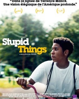 Stupid Things (Dayveon) - la critique du film