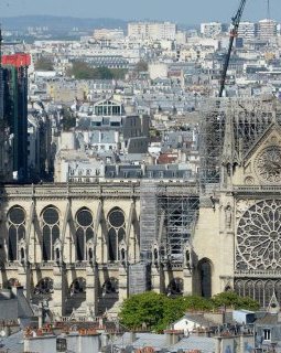 Le cœur d'Arielle Dombasle bat pour Notre-Dame