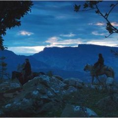 My Sweet Pepper Land : Photo