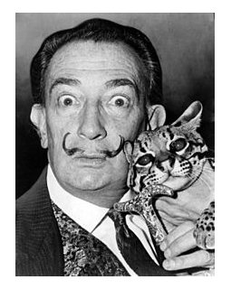 Baudoin nous emmène chez Dali