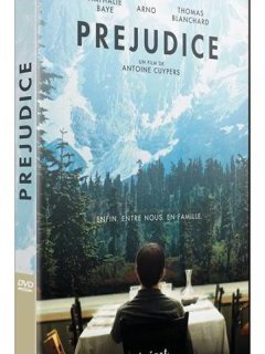 Préjudice - le test DVD