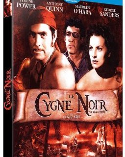Le Cygne Noir – la critique du film + le test blu-ray