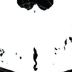 Les chants du cygne noir T.1 – Alex Alice – la chronique Manga