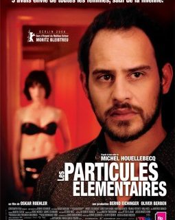 Les particules élémentaires - la critique