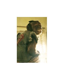 Very bad trip 2 - la bande-annonce VO + affiche teaser