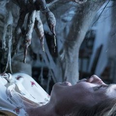 spip-bandeau spip-bandeau