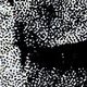 Macadam cowboy - John Schlesinger - critique