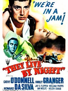 Les amants de la nuit - Nicholas Ray - critique