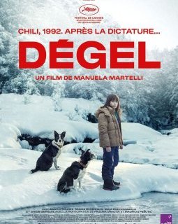 Dégel - Manuela Martelli - critique