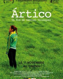 Artico - la critique du film 