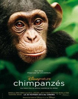 Chimpanzés - la critique 