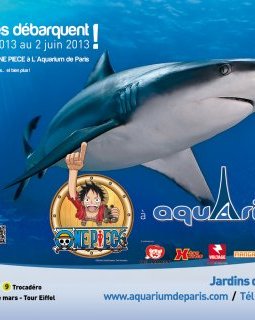 One Piece débarque à Paris