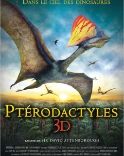 Ptérodactyles 3D - la critique 