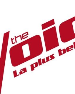 The Voice, la plus belle voix : début de la saison 9