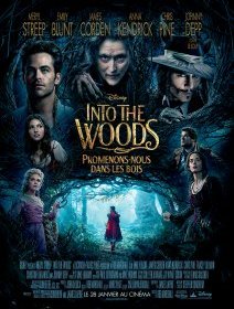 Into the Woods, Promenons-nous dans les bois - la critique du film