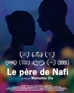 Le père de Nafi - Mamadou Dia - critique