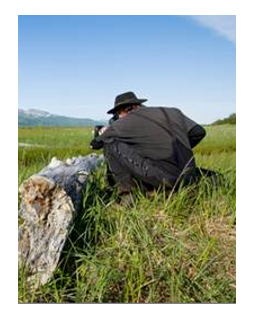 Grizzly - le prochain documentaire animalier Disney en tournage