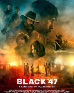 The Renegade - Lance Daly - critique