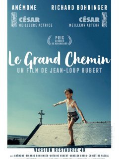 Le grand chemin - Jean-Loup Hubert - critique