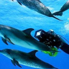 © Wild Bunch Distribution