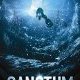 Sanctum - affiche française + bande-annonce VOSF