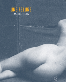 Une Fêlure - Emmanuel Régniez - critique du livre 