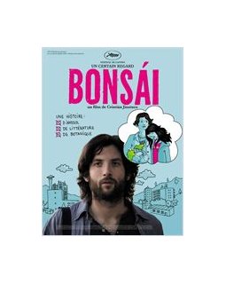 Bonsái - coup d'oeil
