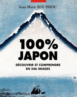 100% Japon - Découvrir et comprendre en 546 images - Jean-Marie Bouissou - critique du livre