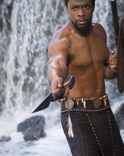 Box-office France : Black Panther rugit fort mais n'est pas phénoménal