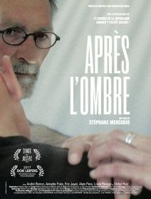 Après l'ombre - Stéphane Mercurio - critique