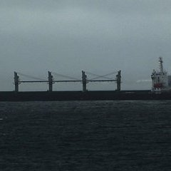 © Parasite Distribution