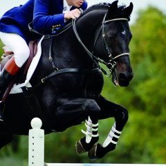 © Jérôme Prébois © Jérôme Prébois