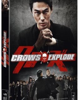 Crows Explode - la critique + le test DVD