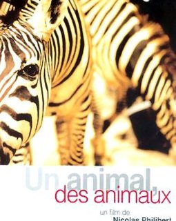 Un animal, des animaux - la critique du film